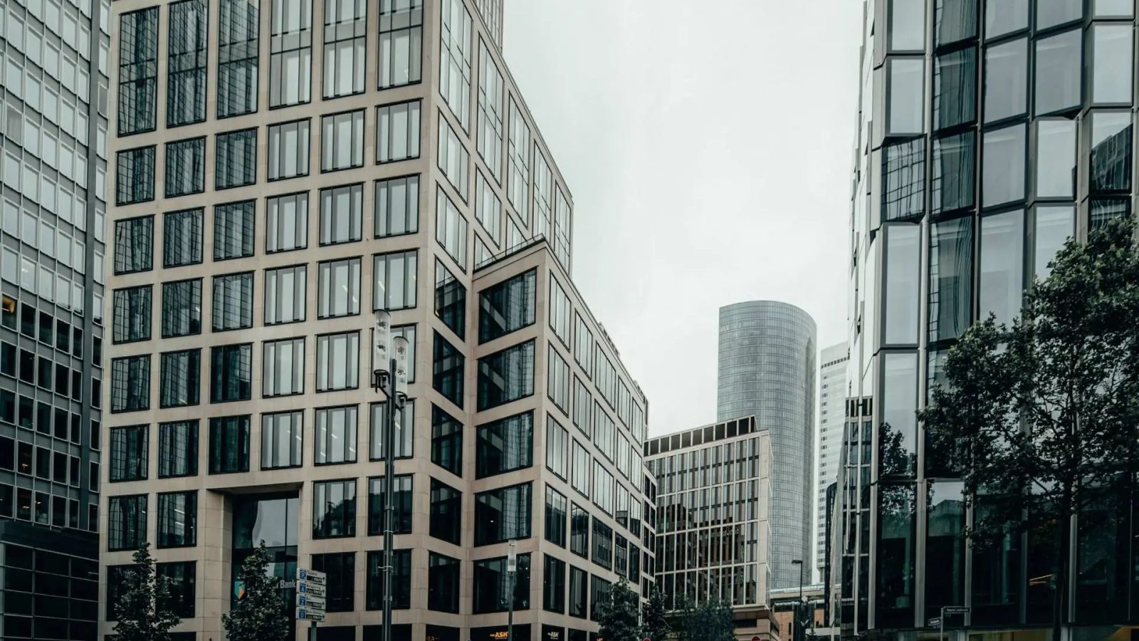 Hunting: como a busca ativa encontra executivos que não procuram emprego