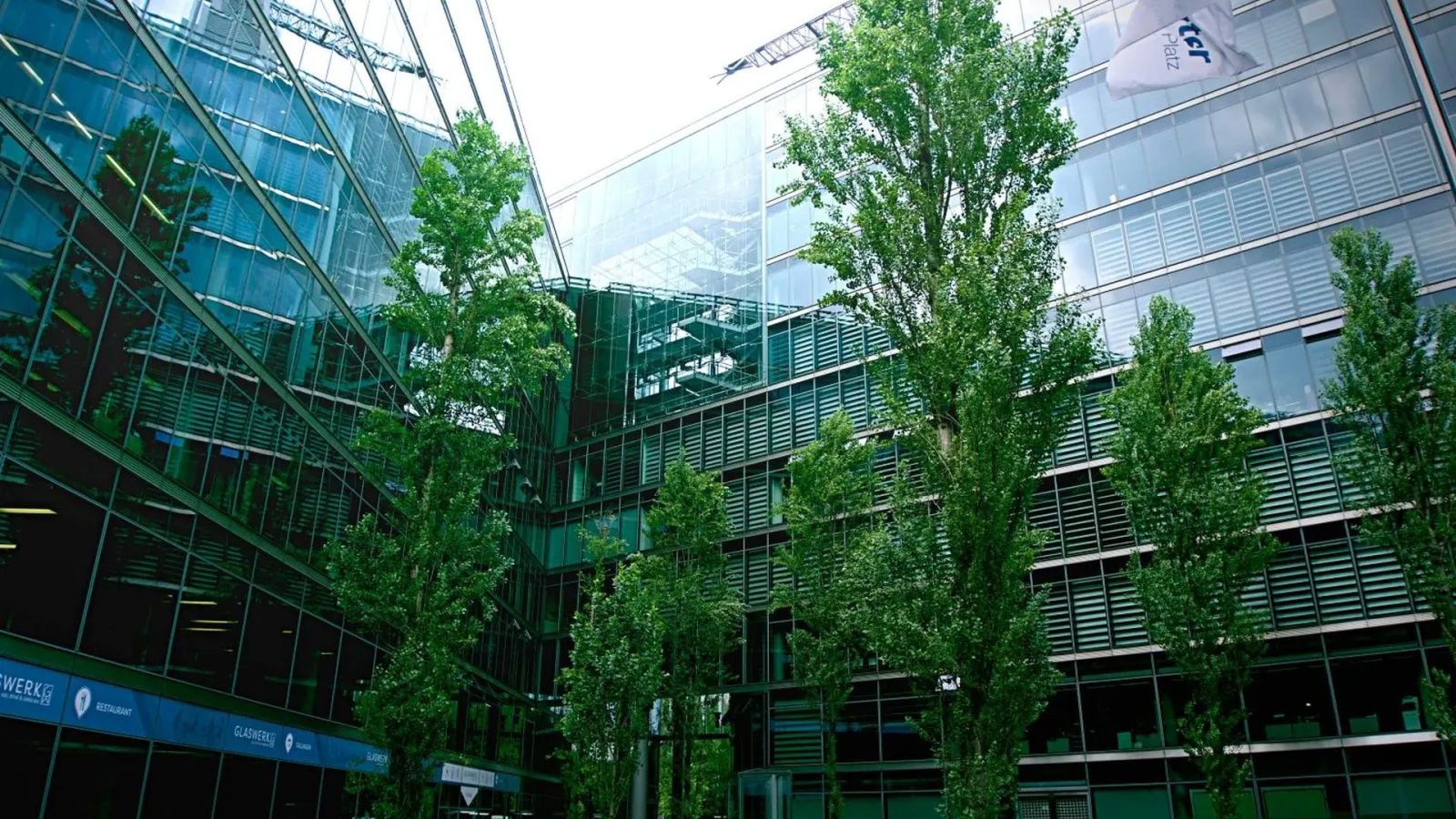 Edifício corporativo de vidro cercado por árvores, representando a imagem da empresa como empregadora